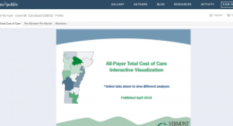 All-Payer Total Cost of Care Interactive Visualization website screenshot