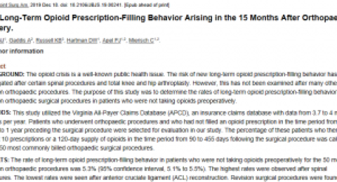 Long-Term Opioid Prescription-Filling Behavior report cover