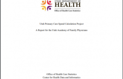 Utah Primary Care Spend Calculation Project report cover